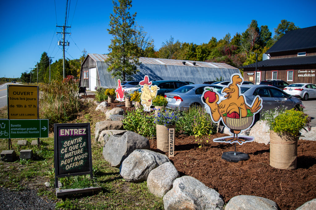 Poules Arts & Saveurs 2025