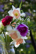Fleurs La Garance