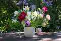 Fleurs La Garance