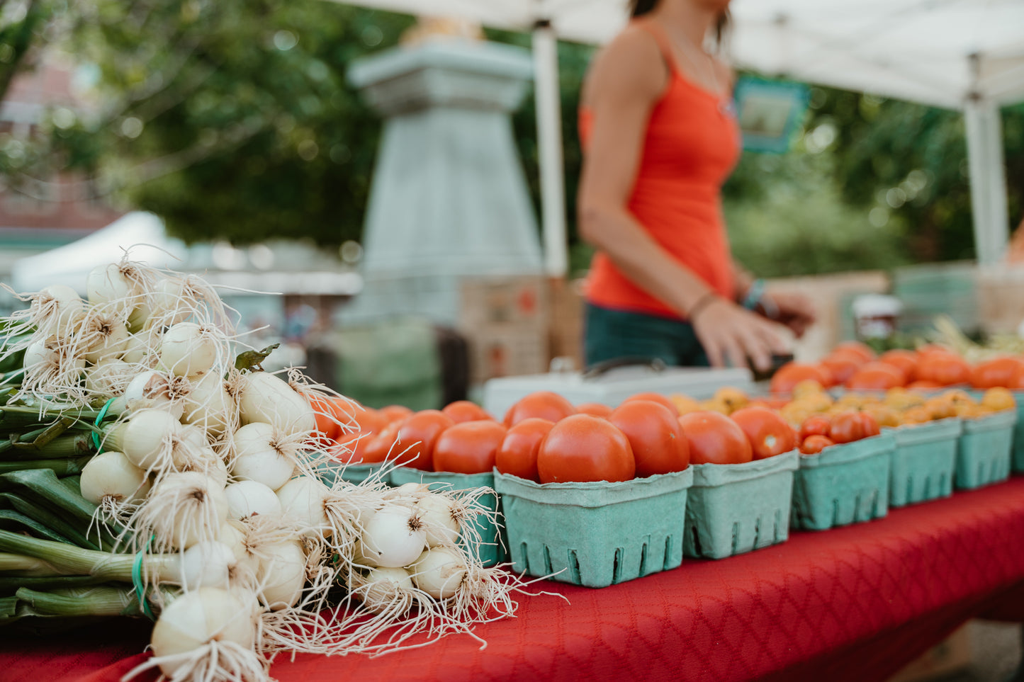 Marché public de Saint-Raymond