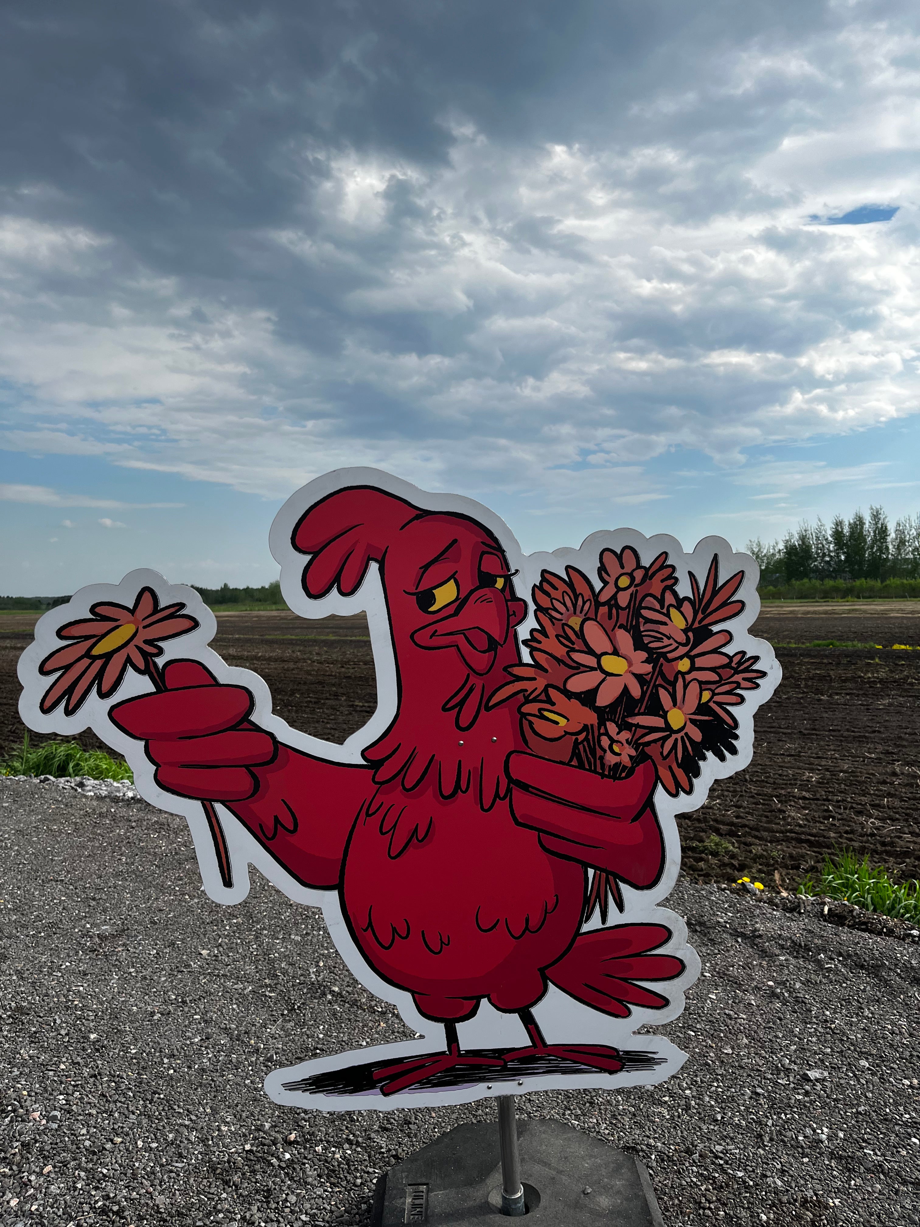 Poules Arts & Saveurs 2025
