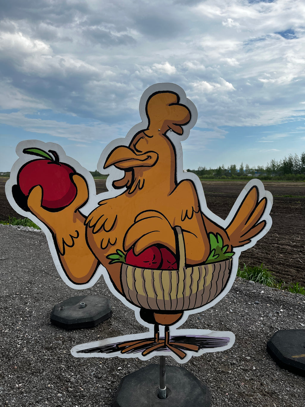 Poules Arts & Saveurs 2025