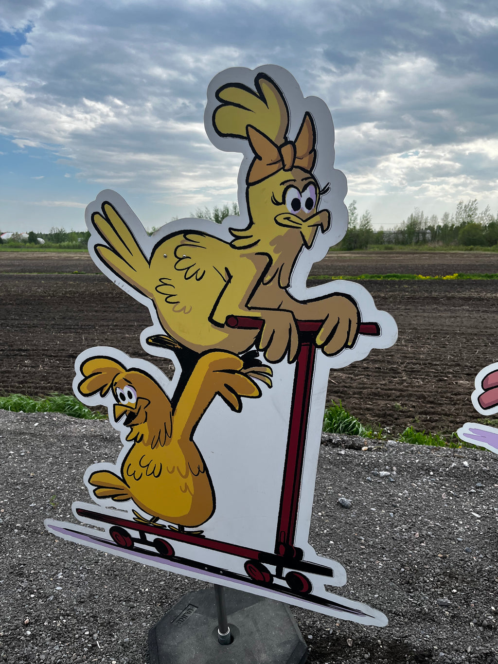 Poules Arts & Saveurs 2025